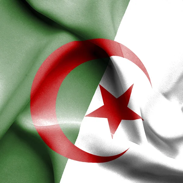 Algérie agitant le drapeau — Photo