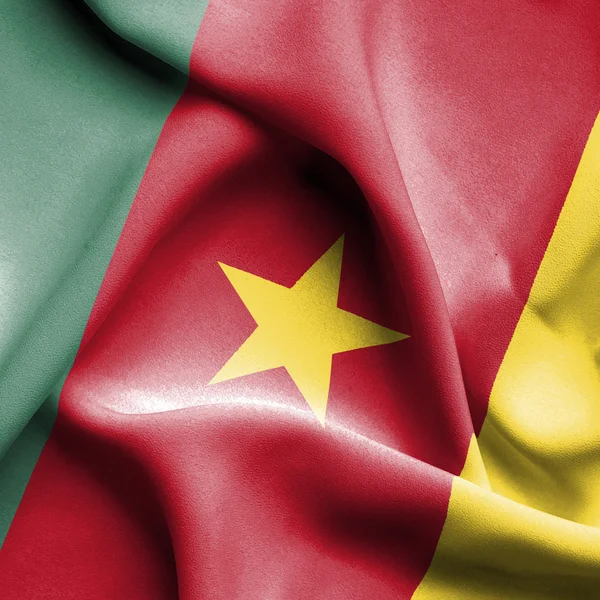 Cameroon waving flag — Stock Photo, Image