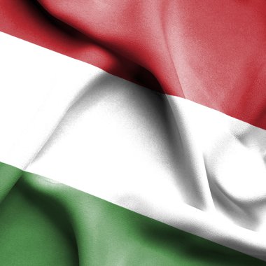 Macaristan dalgalanan bayrak