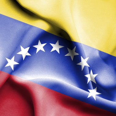 Venezuela dalgalanan bayrak