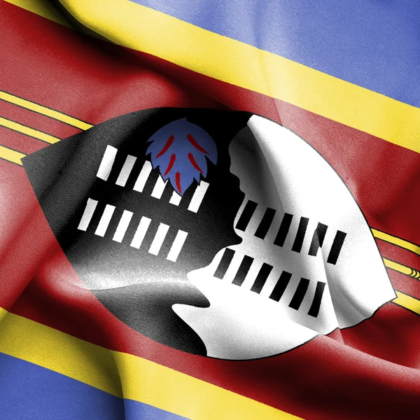 Swaziland vifter med flag - Stock-foto