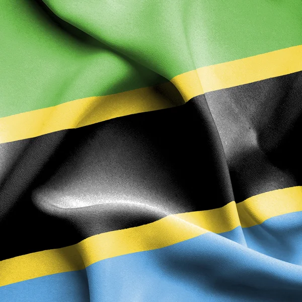 坦桑尼亚挥动国旗 — 图库照片