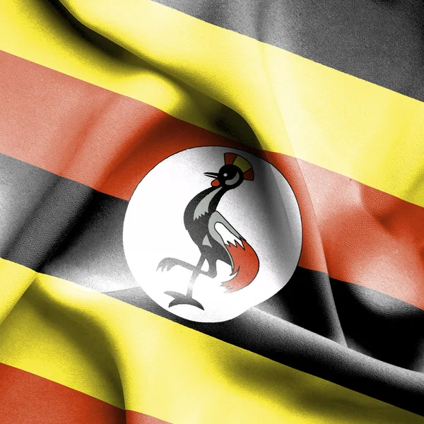 Uganda ondeando bandera —  Fotos de Stock