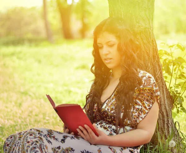 Donna che legge libro appoggiato contro l'albero — Foto Stock