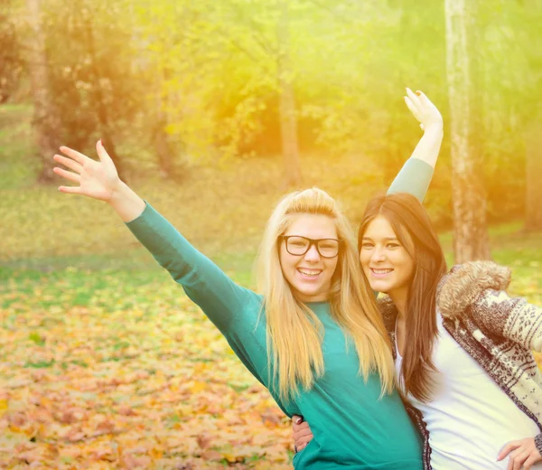 Happy girl friends in nature Stock Picture