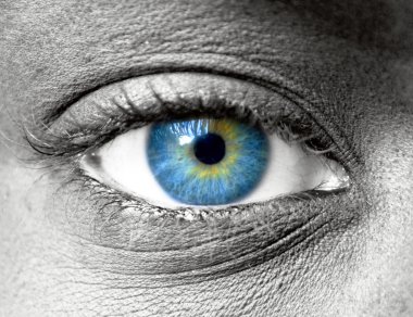 Blue eye extreme close up  clipart