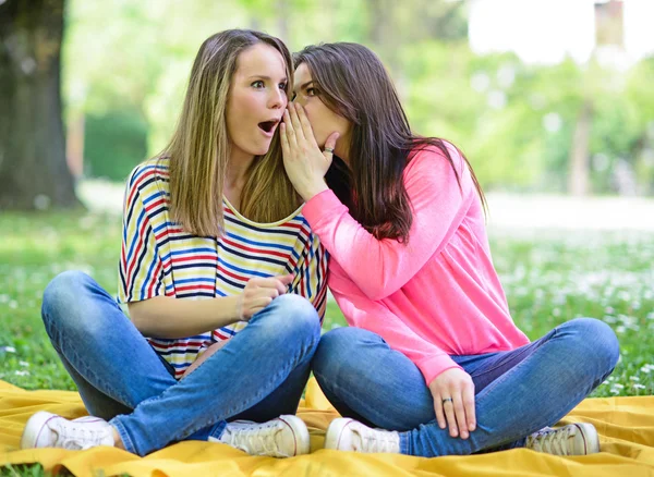 Two girl friends whispering secrets at park — Stock Photo, Image