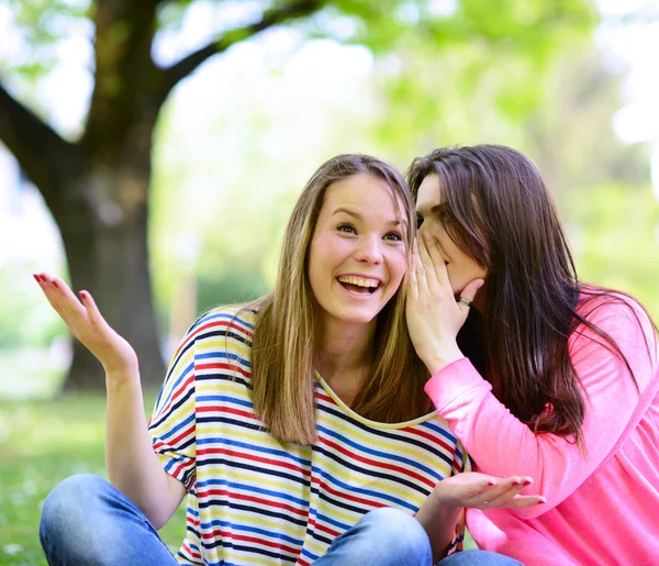 Deux amies chuchotant des secrets au parc — Photo