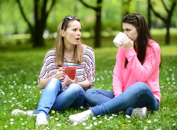 Unga kvinnor dricker kaffe på park och njuter av sommardag — Stockfoto