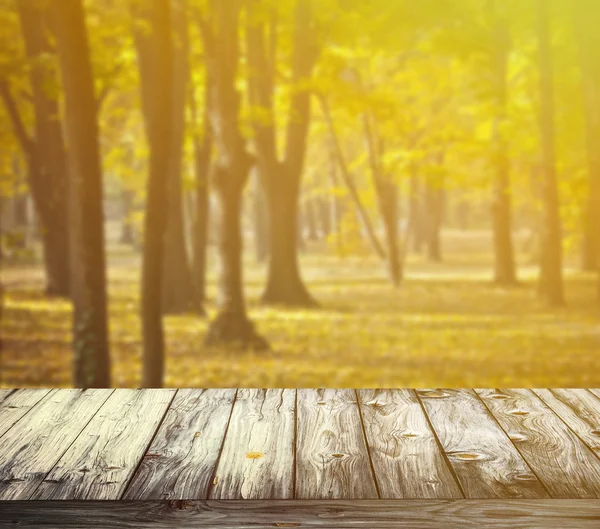 Herfst bos en houten vloer — Stockfoto