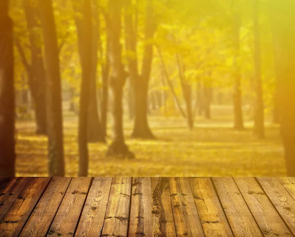 Autumn forest and wooden floor — Stock Photo, Image
