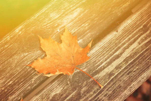 Autumn leaf on wooden bench at park — Stock Photo, Image