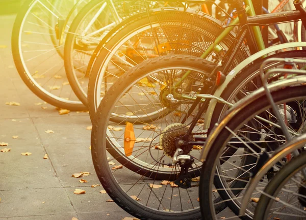 Bicicletas estacionadas na rua — Fotografia de Stock