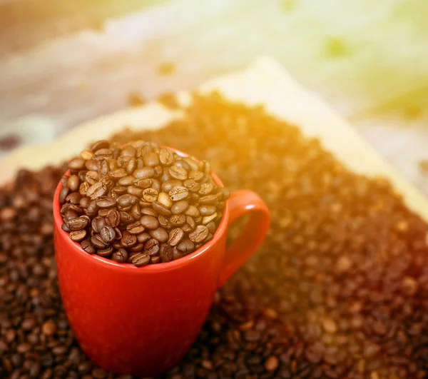 Copa de café lleno de granos de café sobre fondo de madera —  Fotos de Stock