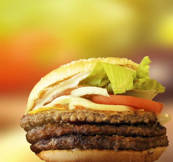 Verse hamburger tegen kleurrijke plantaardige achtergrond — Stockfoto