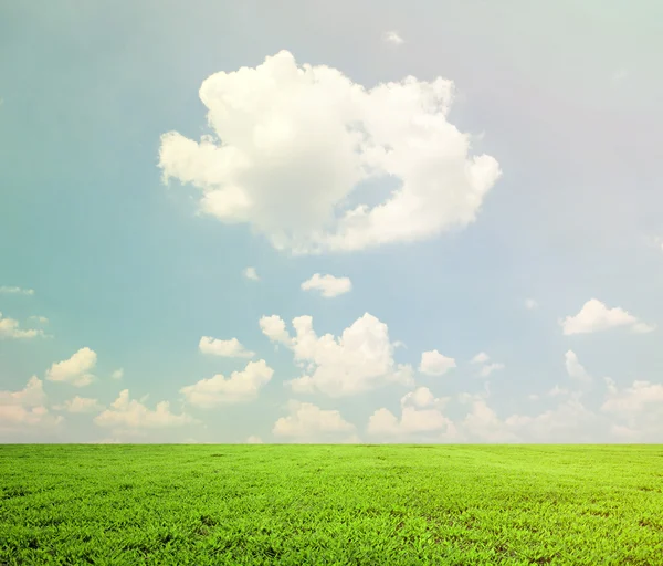 Beautiful green field and blue sky - natural landscape view — Stock Photo, Image