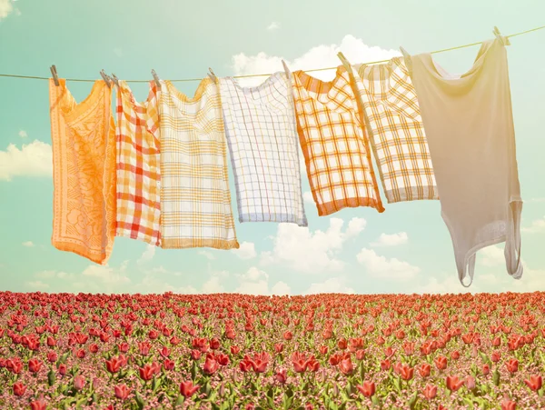 Laundry hanging over flower field — Stock Photo, Image