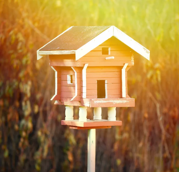 Vecchia casa uccello — Foto Stock