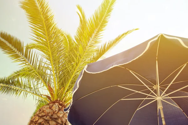 Parasol and palm trees against tropical blue skies — Stock Photo, Image