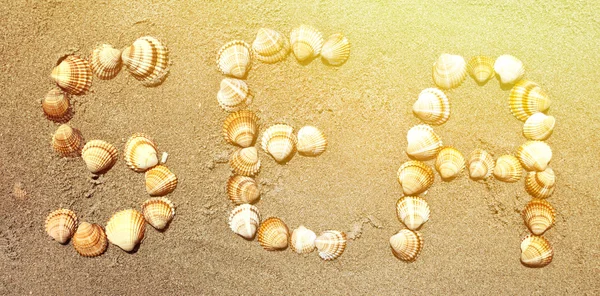 Word "SEA" made with small sea shells — Stock Photo, Image