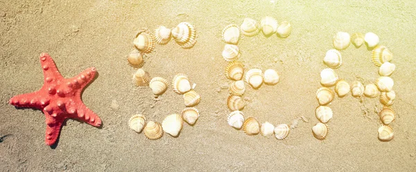 Palavra "MAR" feito com conchas do mar e estrela do mar — Fotografia de Stock