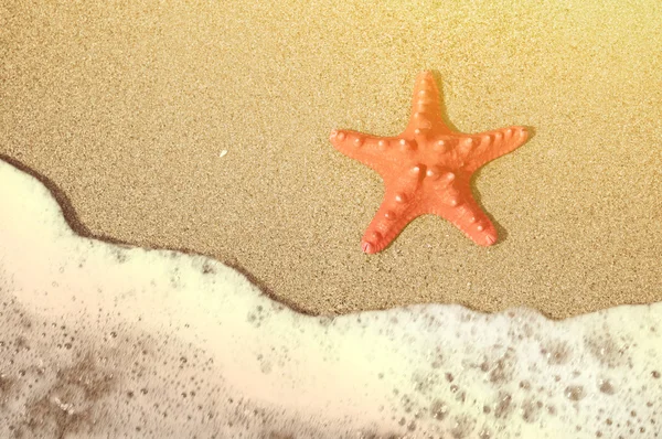 Starfish e onda oceânica na praia tropical arenosa — Fotografia de Stock