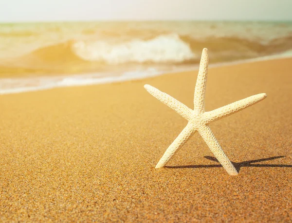 Vacation concept - Star fish on tropical sandy beach — Stock Photo, Image