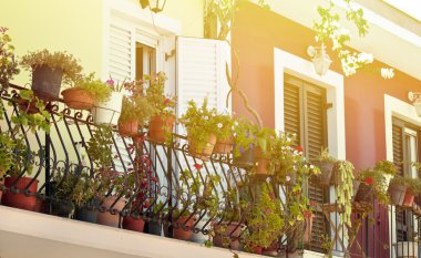balkon çiçekleri ile dolu 