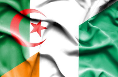 Fildişi Sahili ve Cezayir bayrağı sallayarak