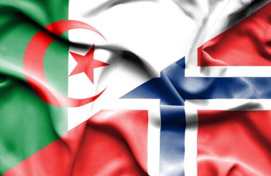 Norveç ve Cezayir bayrağı sallayarak