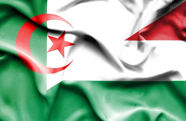 Vlající vlajka Maďarska a Alžírsko — Stock fotografie
