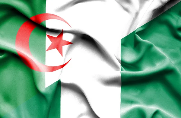 Vlající vlajka Nigérie a Alžírsko — Stock fotografie
