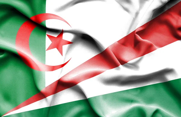 Waving flag of Seychelles and Algeria — Stock Photo, Image