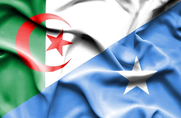 Machać flaga Somalii i Algierii — Zdjęcie stockowe