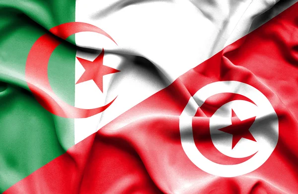 Waving flag of Tunisia and Algeria — Stock Photo, Image