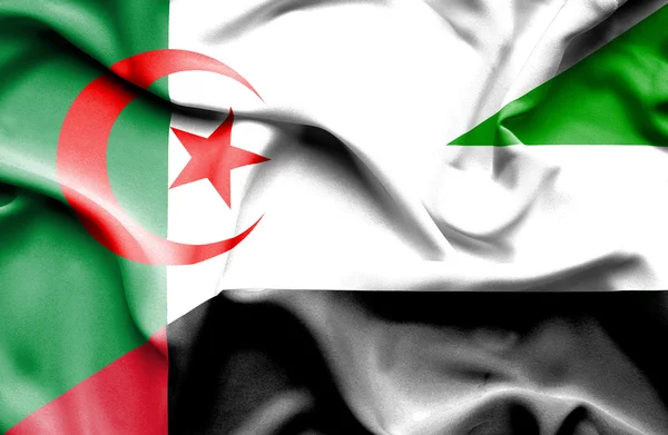 Waving flag of United Arab Emirates and Algeria — Stock Photo, Image