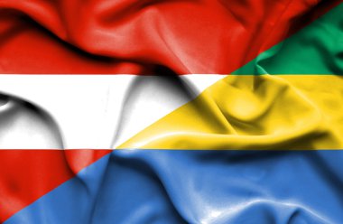 Gabon ve Avusturya bayrağı sallayarak