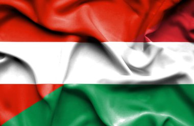 Macaristan ve Avusturya bayrağı sallayarak