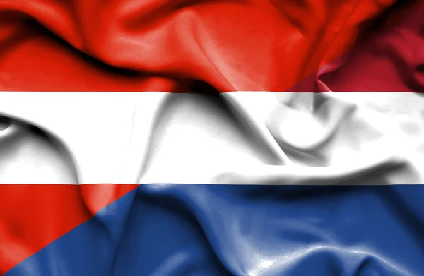 Flagge der Niederlande und Österreichs schwenkend — Stockfoto