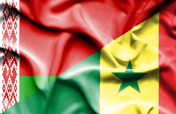 Flagge des Senegal und Weißrusslands schwenkend — Stockfoto