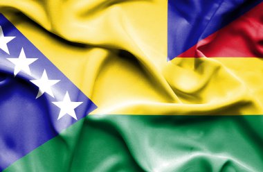 Bolivya ve Bosna-Hersek bayrağı sallayarak