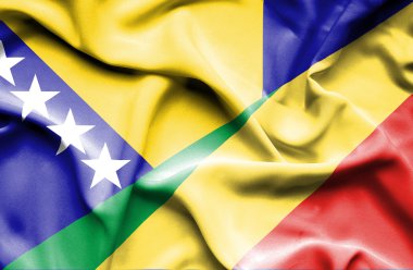 Kongo Cumhuriyeti ve Bosna-Hersek bayrağı sallayarak