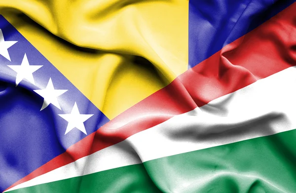 Waving flag of Seychelles and Bosnia and Herzegovina — Stock Photo, Image