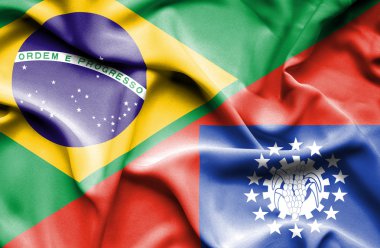 Myanmar ve Brezilya bayrağı sallayarak