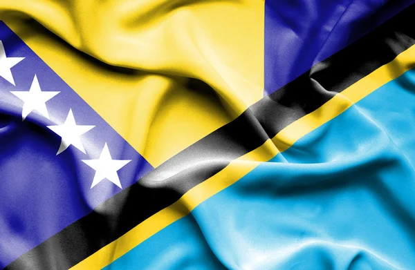 Integetett zászló Tanzánia és Bosznia és Hercegovina — Stock Fotó