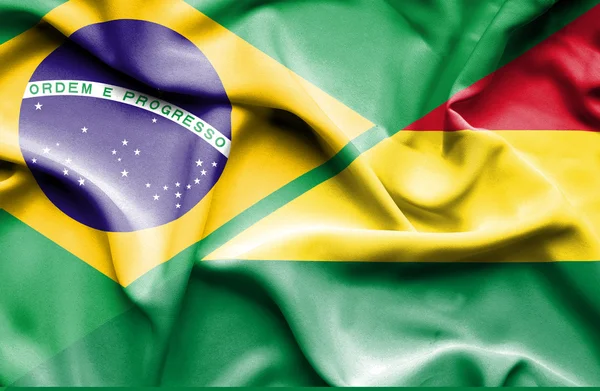 Flagge von Bolivien und Brasilien schwenken — Stockfoto