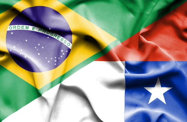 칠레와 브라질의 깃발을 흔들며 — 스톡 사진