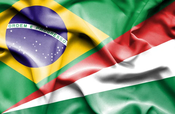 Bandeira acenando de Seychelles e Brasil — Fotografia de Stock