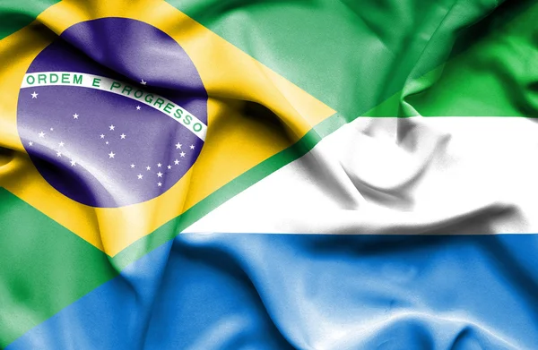 시에라 리온, 브라질의 깃발을 흔들며 — 스톡 사진