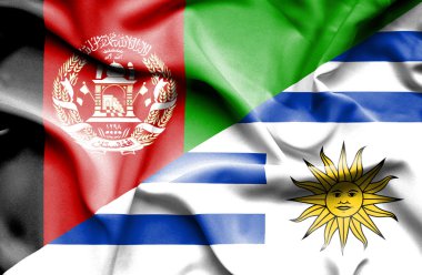 Uruguay ve Afganistan bayrağı sallayarak